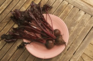 Recipe: Pickled Beets are Delicious