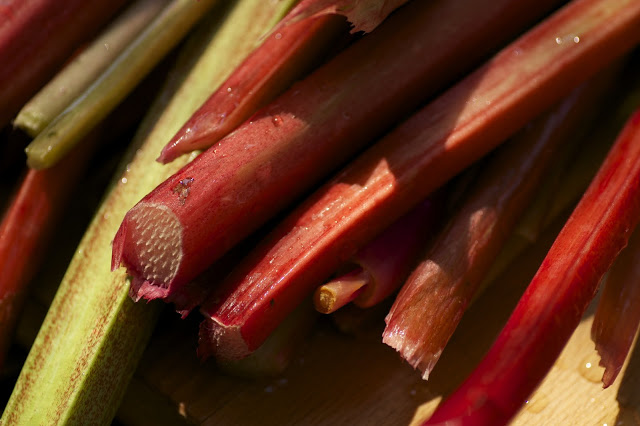 Recipe: Ruby Red Rhubarb Preserves or Rhubarb Strawberry Jam