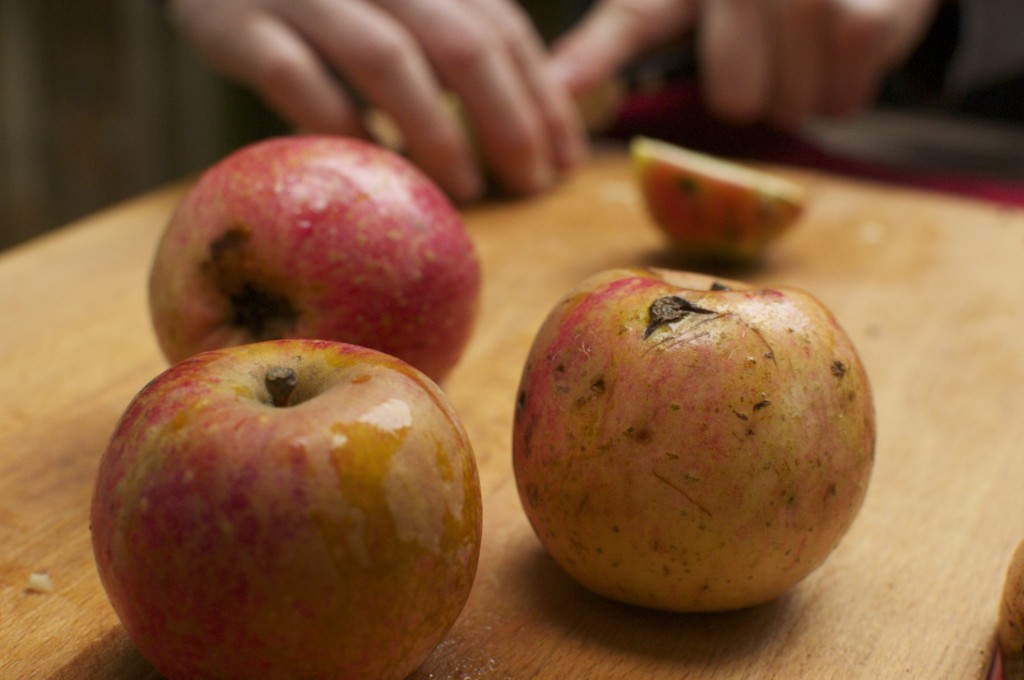 apples on cutting board www.cubitsorganics.com 2013