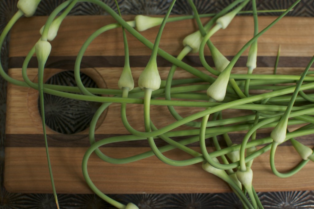 timber greewoods cutting board and scapes