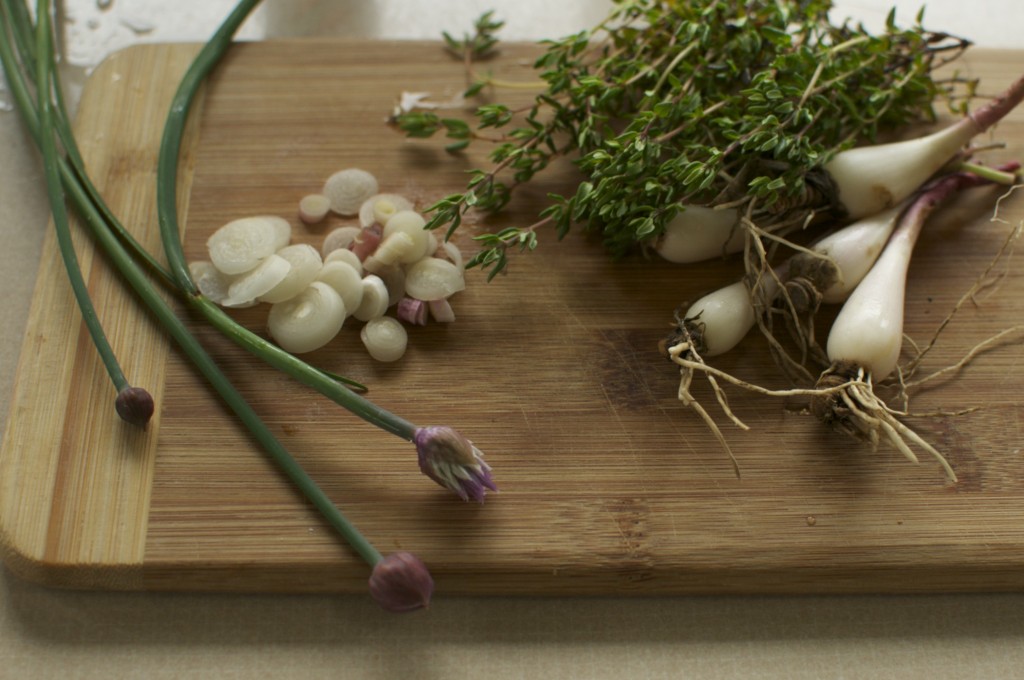 ramps thyme and chives www.CubitsOrganics.com