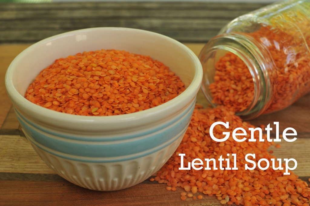 Gentle Lentil Soup www.CubitsOrganics.com