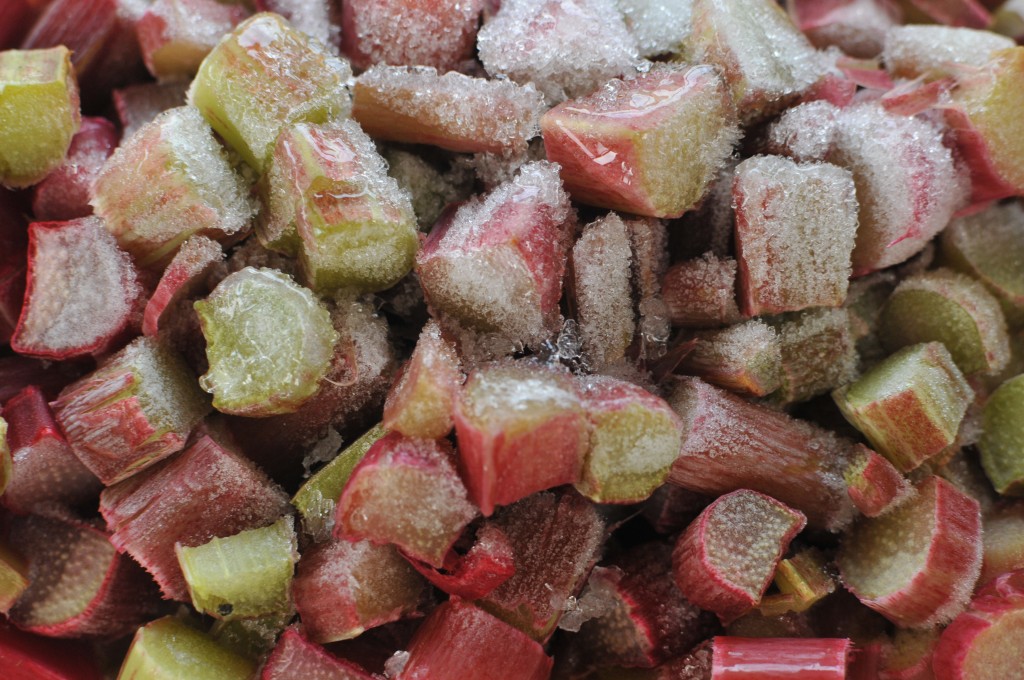 Frozen rhubarb www.CubitsOrganics.com