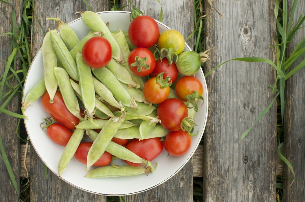 Sugar snap peas and tomatoes www.CubitsOrganics.com