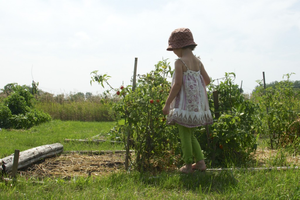 Rebecca in the garden www.cubitsorganics.com