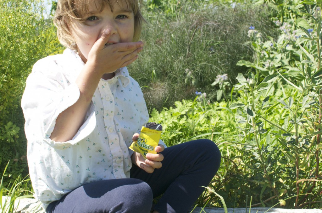 Summer Snack Time www.CubitsOrganics.com