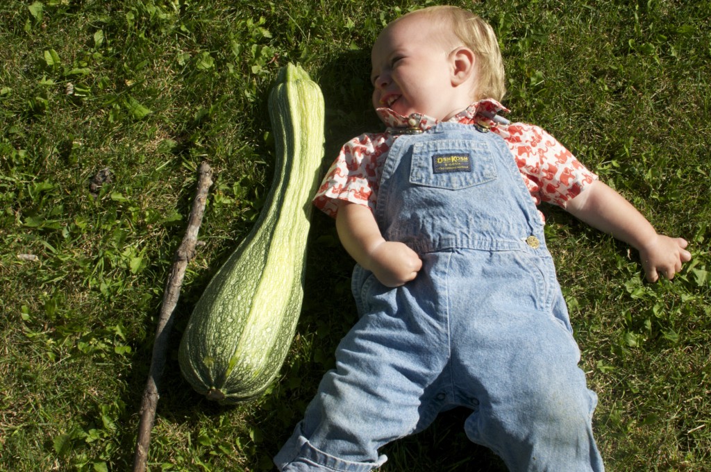 Zucchini as big as the baby www.cubitsorganics.com