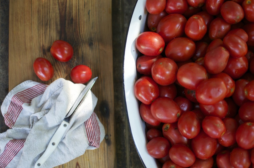 Cutting Tomatoes www.CubitsOrganics.com