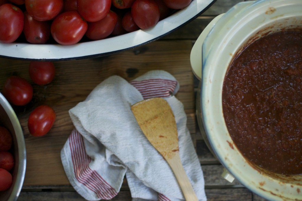 Colour of Tomato Sauce www.CubitsOrganics.com