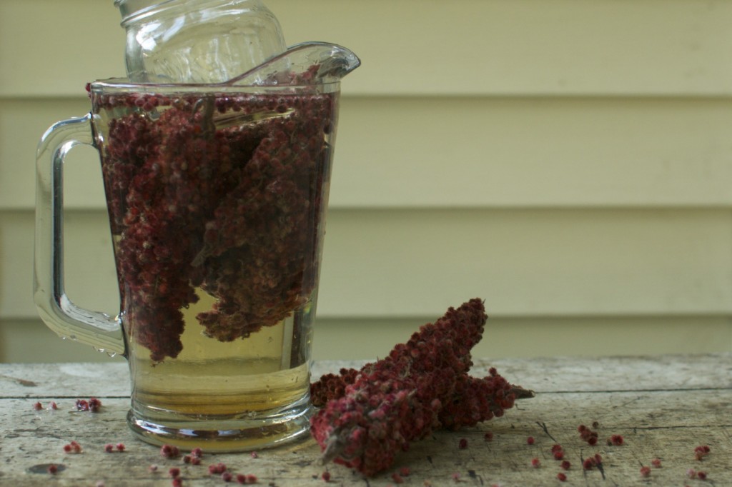 Brewing Sumac Tea www.CubitsOrganics.com