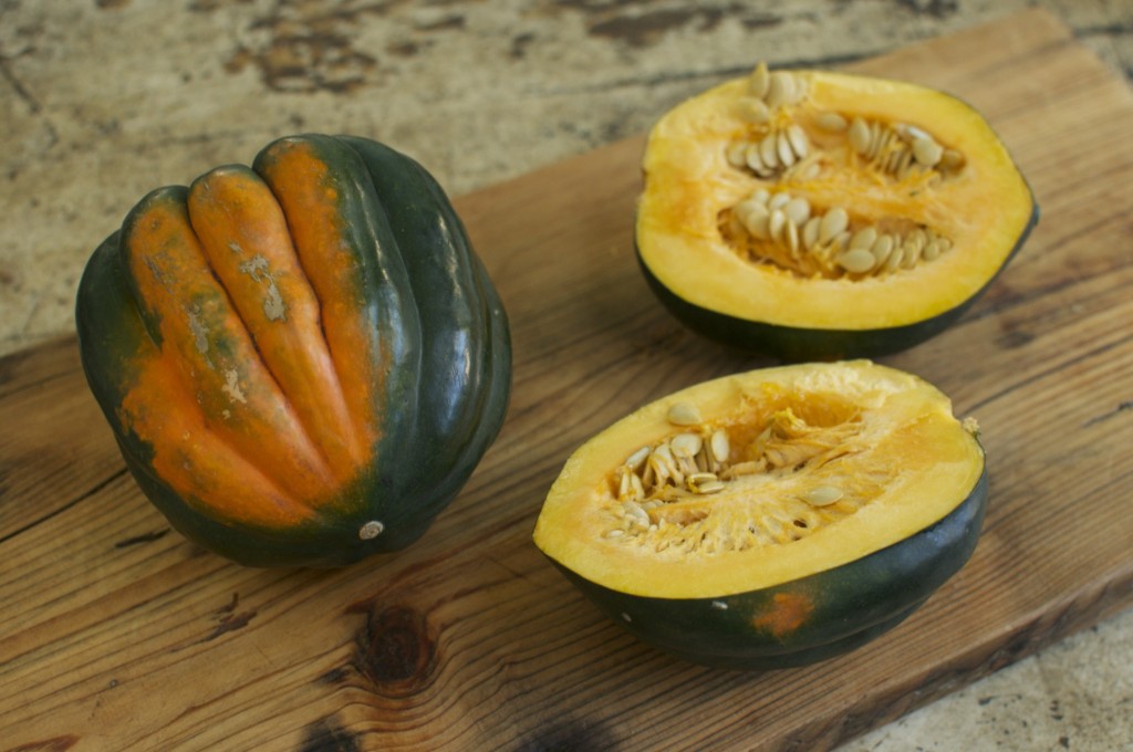 Royal Acorn Squash Seeds www.CubitsOrganics.com