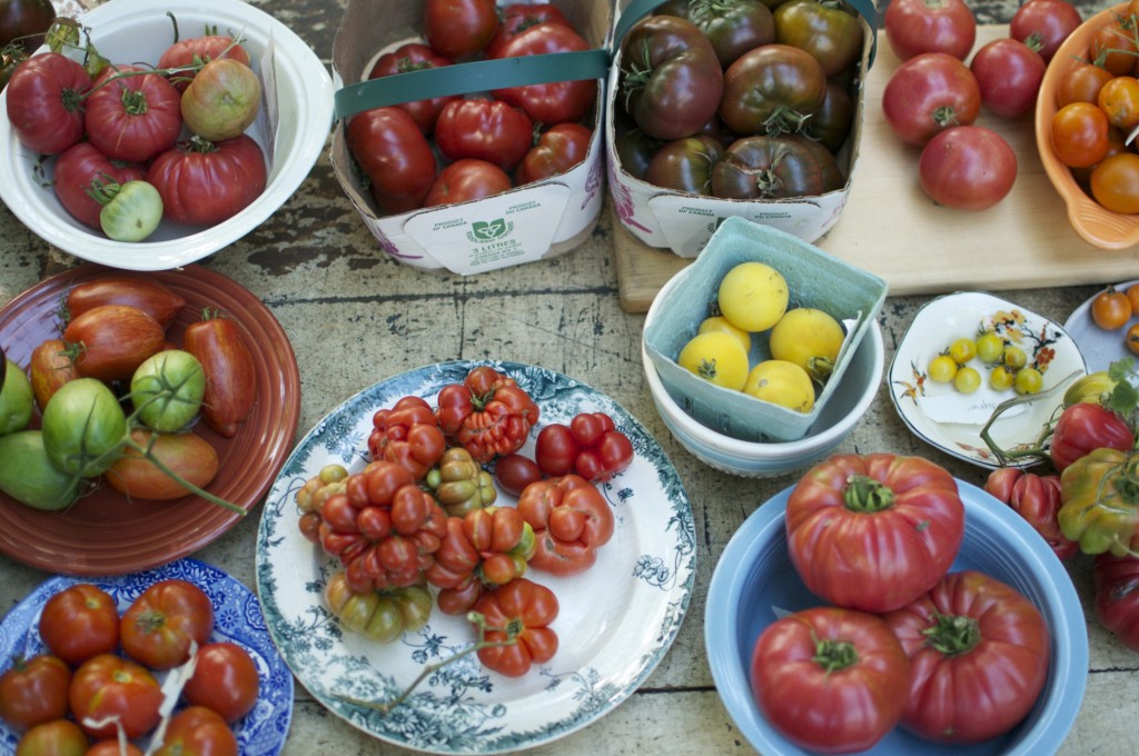 Heirloom Tomatoes  www.CubitsOrganics.com