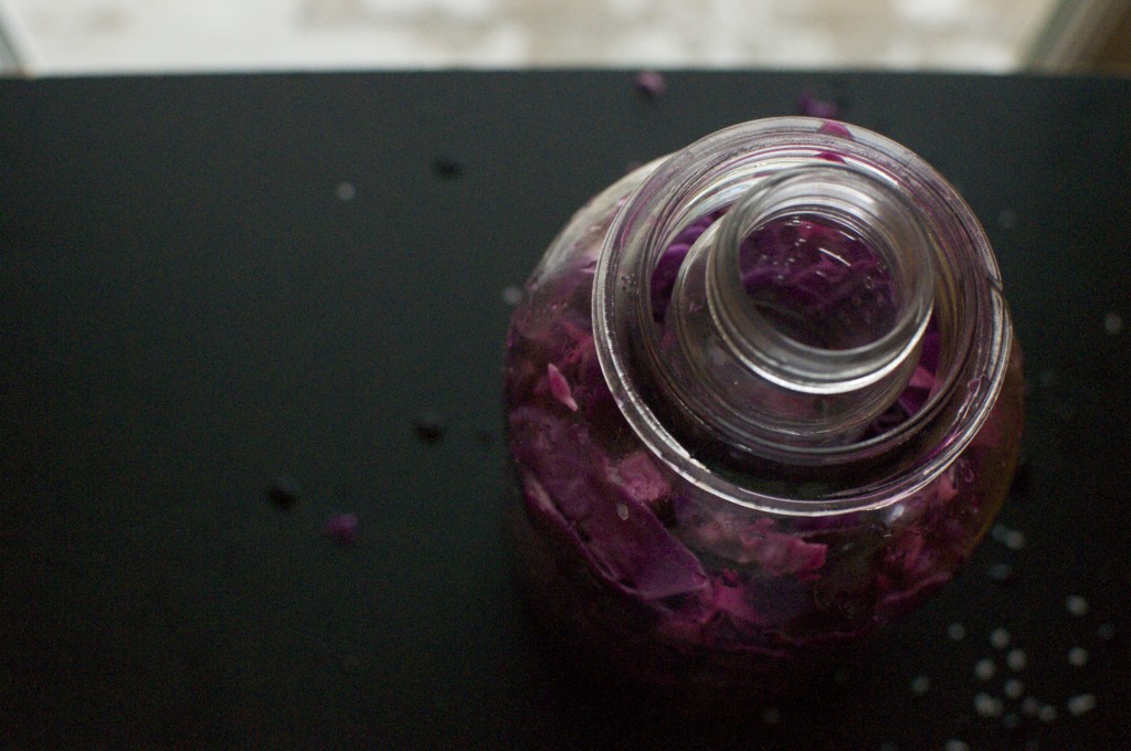Making Purple Cabbage Sauerkraut www.CubitsOrganics.com