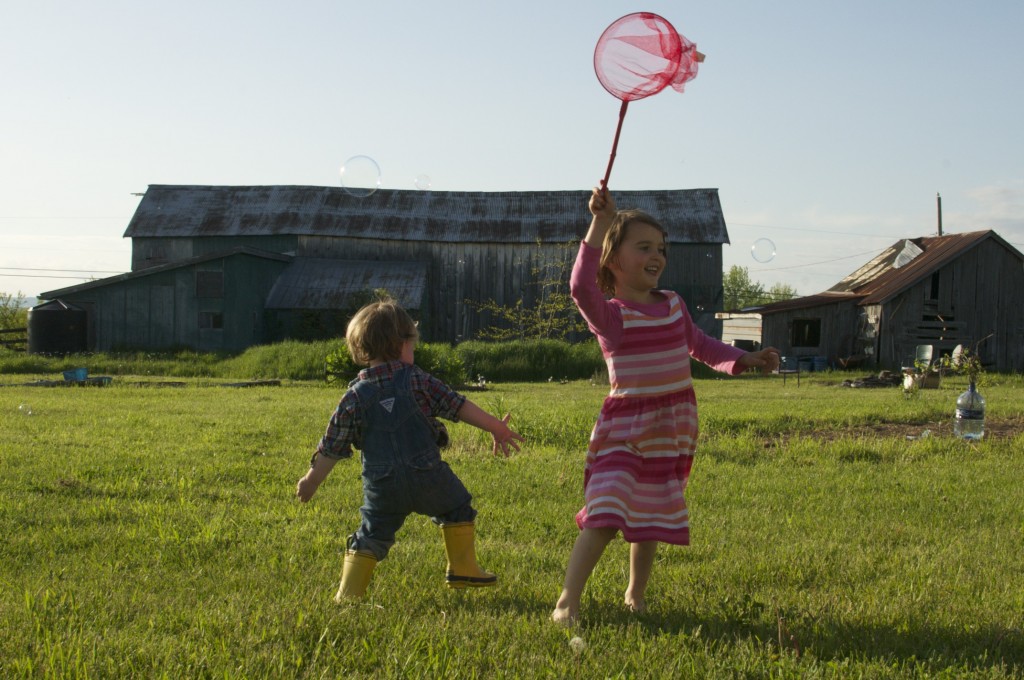 catching bubbles at the farm www.cubitsorganics.com