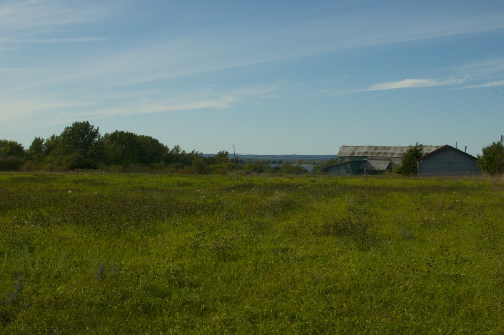 Our Ontario Farm www.cubitsorganics.com